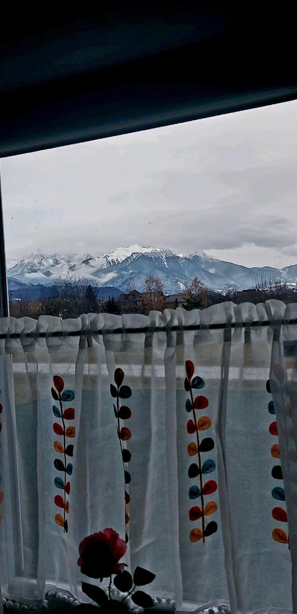 Das Home Rîşnov エクステリア 写真